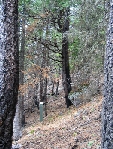 north hill listening site, photo by Brenda Brown