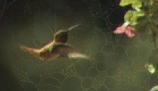 Sequence 01.Still014, reducd.jpg