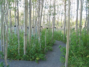 jardins de metis, redcd 2.jpg