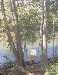 Schuylkill lookout swing, Brenda Brown