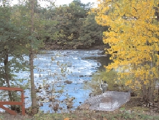 Schuylkill River lookout platform, by Brenda Brown