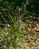 scan0001.jpg