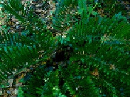 scan0004.jpg