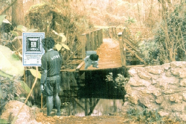 scan0006.jpg