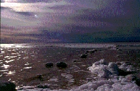 scan0007.jpg