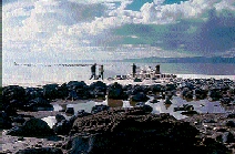scan0009.jpg