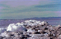 scan0010.jpg