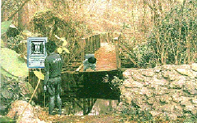 scan0010.jpg