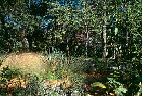 scan0012.jpg