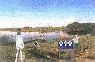 scan0012.jpg