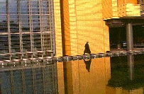 scan0013.jpg