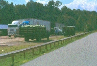 scan0015.jpg