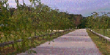 scan0019.jpg