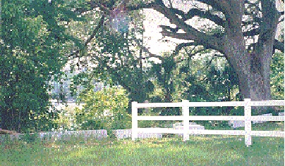 scan0028.jpg