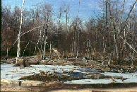 scan0044.jpg