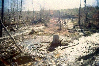scan0049.jpg