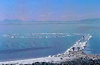 scanSJ-7.jpg
