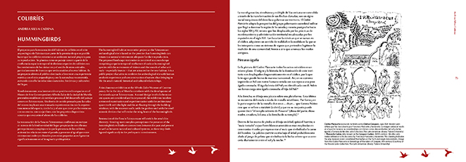 catalogue pages, silva, galatowitsch.jpg
