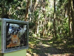 Crowley Listening Trail, photo by Brenda Brown