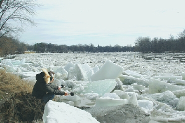spring ice-brown, 11-30-14-B, redcd.jpg