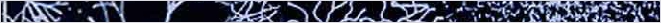 thnnwb-hztl-a-copy.jpg