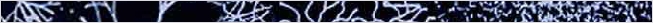 thnnwb-hztl-a-copy.jpg