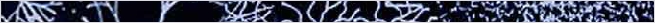 thnnwb-hztl-a-copy.jpg