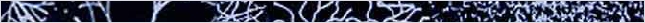 thnnwb-hztl-a-copy.jpg