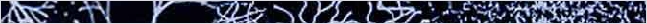 thnnwb-hztl-a-copy.jpg