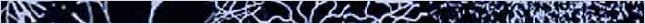 thnnwb-hztl-a-copy.jpg