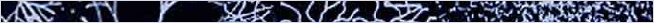 thnnwb-hztl-a-copy.jpg