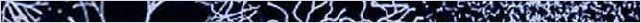 thnnwb-hztl-a-copy.jpg