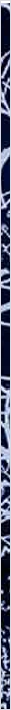 thnnwb-vrtcl-a-copy.jpg