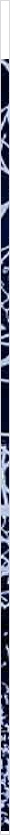 thnnwb-vrtcl-a-copy.jpg