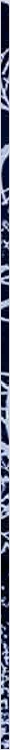 thnnwb-vrtcl-a-copy.jpg