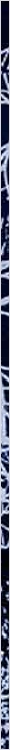 thnnwb-vrtcl-a-copy.jpg