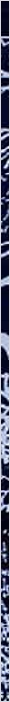 thnnwb-vrtcl-a-copy.jpg