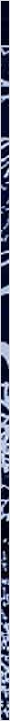 thnnwb-vrtcl-a-copy.jpg