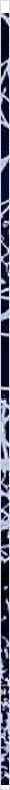thnnwb-vrtcl-a-copy.jpg