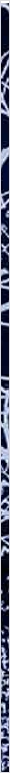 thnnwb-vrtcl-a-copy.jpg