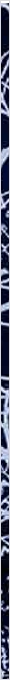 thnnwb-vrtcl-a-copy.jpg