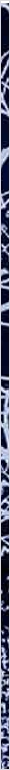 thnnwb-vrtcl-a-copy.jpg