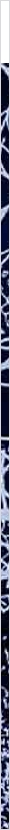thnnwb-vrtcl-a-copy.jpg