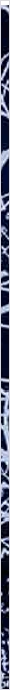 thnnwb-vrtcl-a-copy.jpg