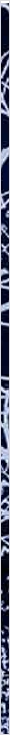 thnnwb-vrtcl-a-copy.jpg