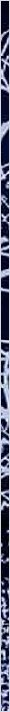 thnnwb-vrtcl-a-copy.jpg