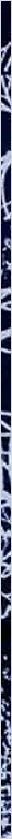 thnnwb-vrtcl-a-copy.jpg