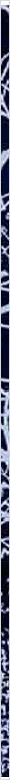 thnnwb-vrtcl-a-copy.jpg