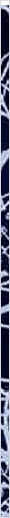 thnnwb-vrtcl-a-copy.jpg