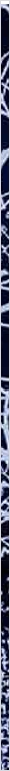 thnnwb-vrtcl-a-copy.jpg